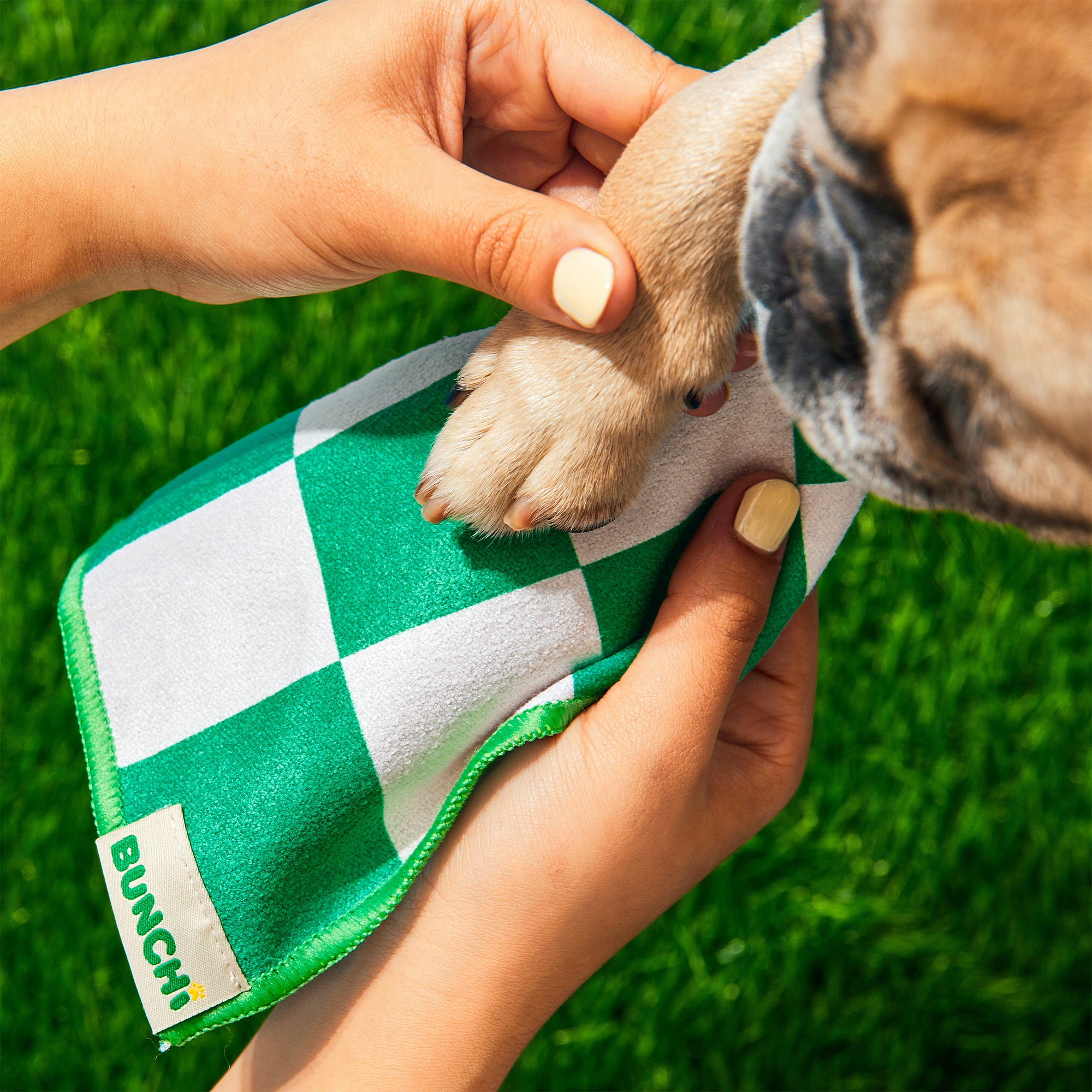 Paw Cleaner Kit