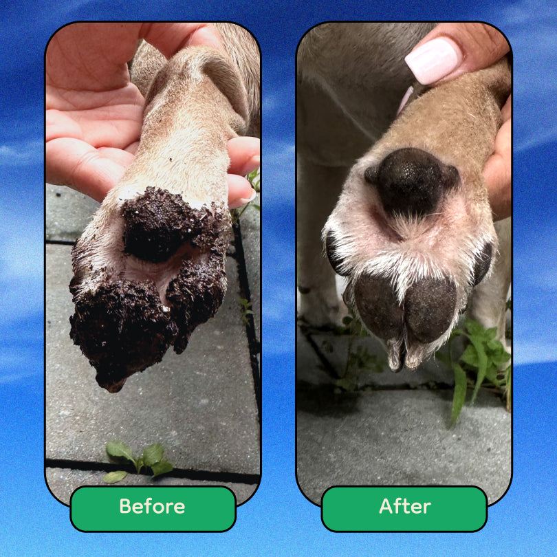Bunchi™ Daily Paw Cleanser